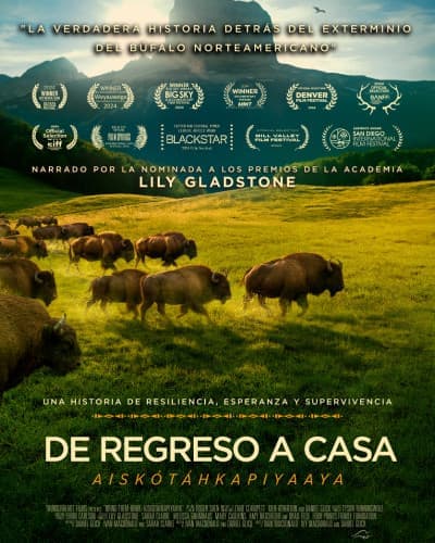DE REGRESO A CASA