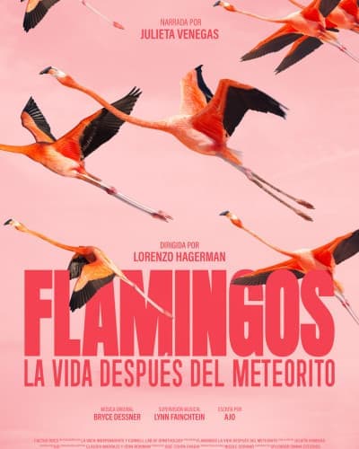 FLAMINGOS