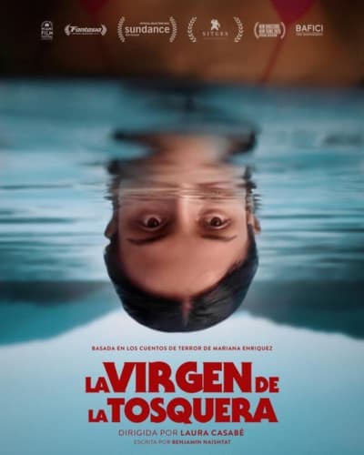 LA VIRGEN DE LA TOSQUERA